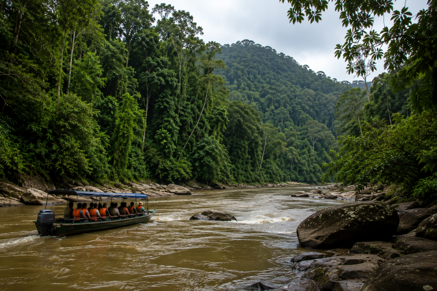 Taman Negara / National Park Tour